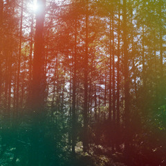 DJ Vibryll - Erez&Rakefet Forest Goa Rave (14.12.24) (Retro Goa)