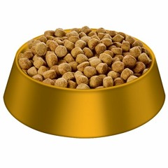 7860 Rich Pee x Albo "SCOOBY DOO" produced by Beatzbymil