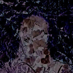 little voices, in the head.