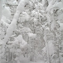 𝑀𝐸 𝒯𝒪𝒪¹⁴⁴【ᶠᴿᴱᴱ ᴰᴸ】