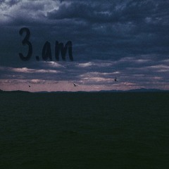 3.am