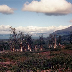 Ljudfauna Part VI (deambulavit)