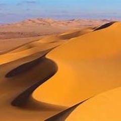 From sample to song (Bottle In The Desert )
