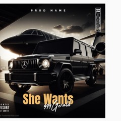 She Wants (Feat. Gavin the G) (Prod. Marshmellow)