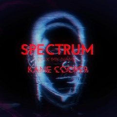 Florence + The Machine - Spectrum (Say My Name) (Kane Cooper Remix)
