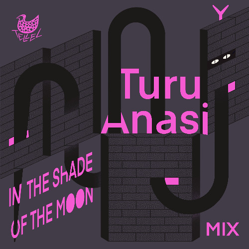 In The Shade Of The Moon Mix