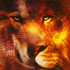 Vintage Culture, Somebody Sometimes - Mayorga, OFF META (Edit)