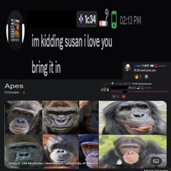 ape nigger die
