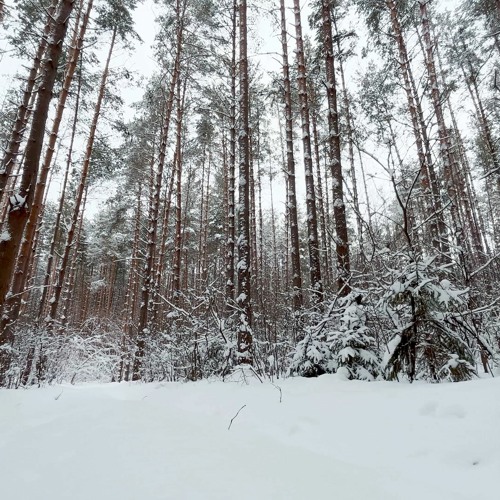 Crunching Snow Sound (Copyright Free)Free download