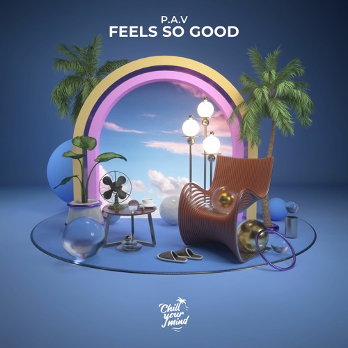 P.A.V - Feels so Good