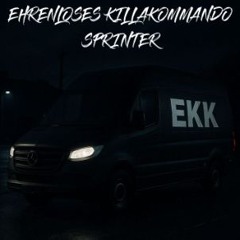 Sprinter
