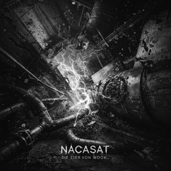 Die Eier Von Wook [take1]