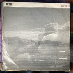#33 slow down (donisms-mix) vinyl (ben35rpm) slowed down