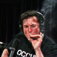 Elon Musk (feat MoneyBoyMax)