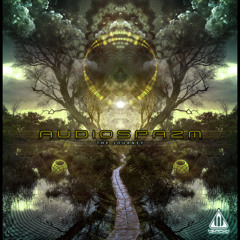 Audiospazm - The Journey