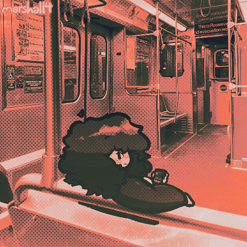 P4Y_ur_FLiGHT