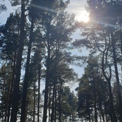 Nice and Slow (Unsigned)