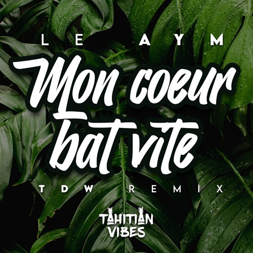 Mon Coeur Bat Vite (Mashup)