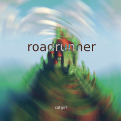 roadrunner