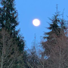 Anasazi Moon