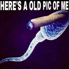 MARCHING BAND (ME & @rxl.bnr_)