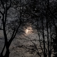 Dẫu Chỉ Là Ký Ức Remix - Trungg Trần
