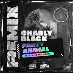 Charly Black – Party Animal (Suluin Sound Remix)