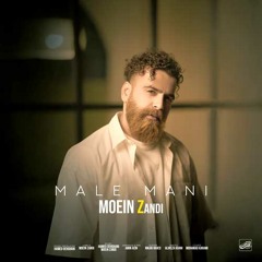 Moein Zandi  Male Mani    مال منی معین زندی