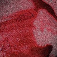 GNXRLY (prod. taymxru) I KNOW YOU SEE THIS🫵