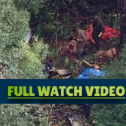 FULL MAMONAS ASSASSINAS PORTAL ZACARIAS MORTE