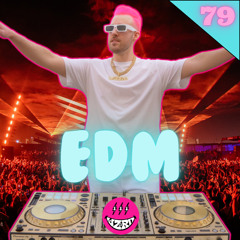 EDM Mix 2024 | #79 | DJ WZRD, Will Sparks, Mariana Bo, Olly James | Best of EDM 2024 by DJ WZRD