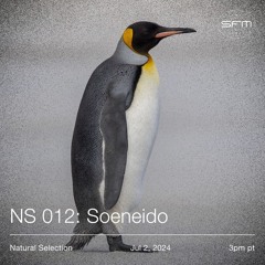 Natural Selection 012 w/ Soeneido