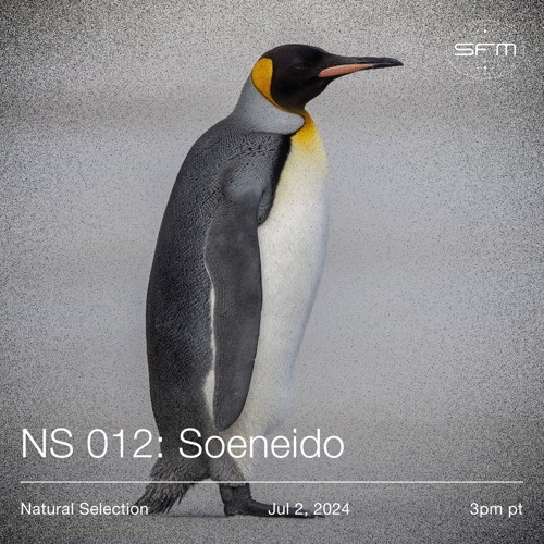 Natural Selection: Soeneido
