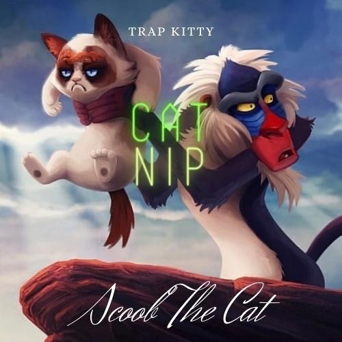 Catnip