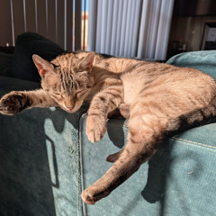 2025-12-06 - Mat Roe - Funky Saturday Evening Shenanigans