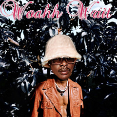 RON- Woahh Wait (Prod. King Stifler)