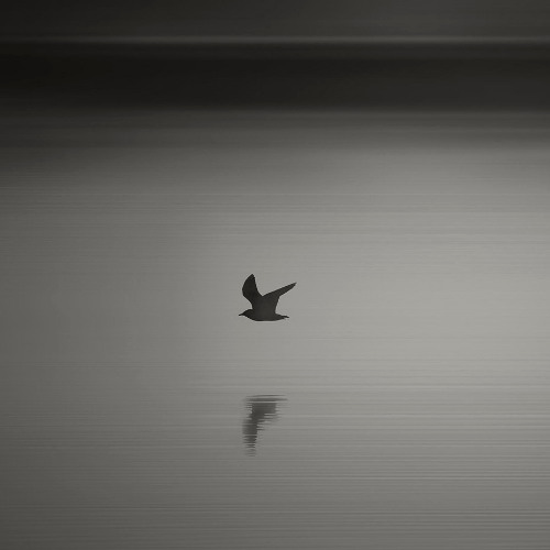 WHO DO U THINK (Free Download)