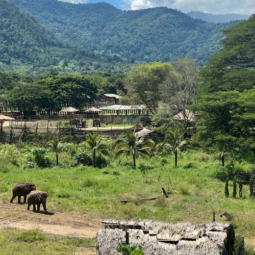 2#walk through fear.mp3