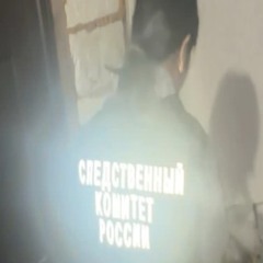 tips ft.die! (hxrdywarhead & diklordefenil)