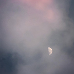 RR @_INTROSPECTIVO_. December 2025