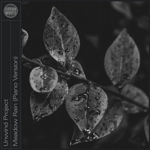 Unwind Project - Meadow Rain (Piano Version)