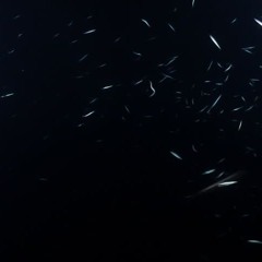 Stellarmoon