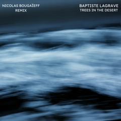Trees in the desert (Nicolas Bougaïeff Remix)