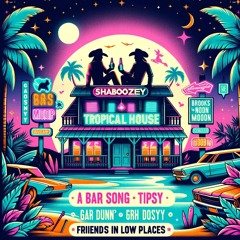 Shaboozey Vs Brooks & Dunn Vs Garth Brooks - A Bar Song (Tipsy) (VDJ JD Tropical House Remix )