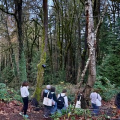 Symphonie de L’Automobile