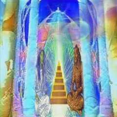 #BAD DECISIONS +1LIFE