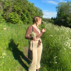 Pmmp - Joutsenet (Cover by Asla Jo)