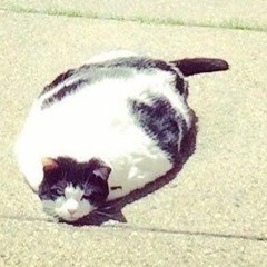 PREMIERE: "u CAN GET"