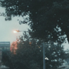 bliss without ignorance