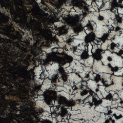 ESTUDIO UNKNOWNOMAD - ALLOY DJ SET